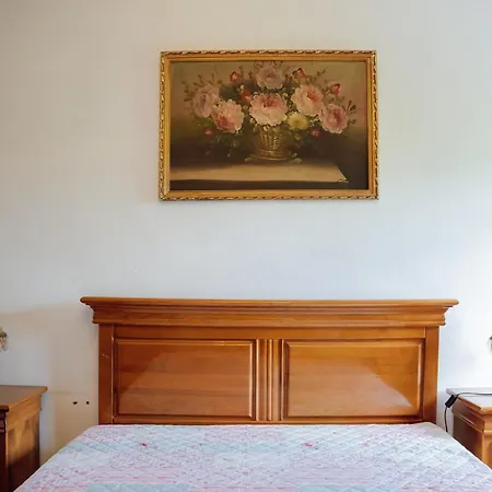 Leira Da Cruz Grande Casa vacanze Castelo de Paiva